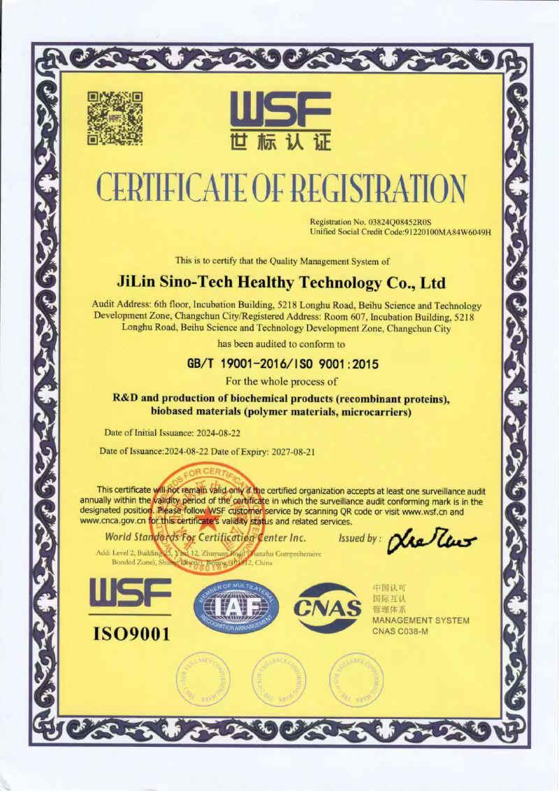 ISO001（英文）_800.jpg