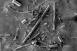 聚羟基乙酸-己内酯共聚物（PGCL），短纤维，NWS－PGCL