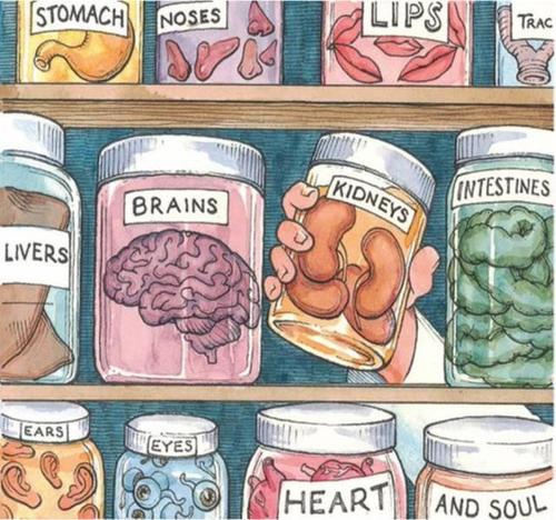 器官再生到底离我们还有多远？