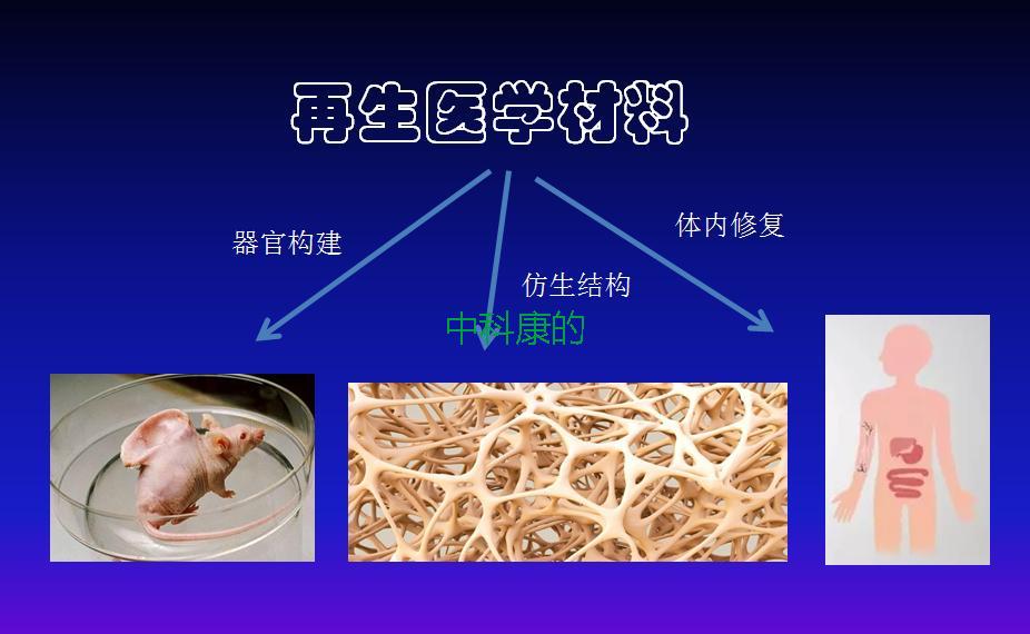 什么是再生医学材料？