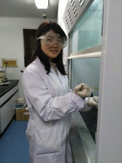 image_gallery-228