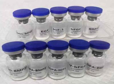 重组人碱性成纤维细胞生长因子（ChiBD-bFGF）,几丁质特异结合, Human, His