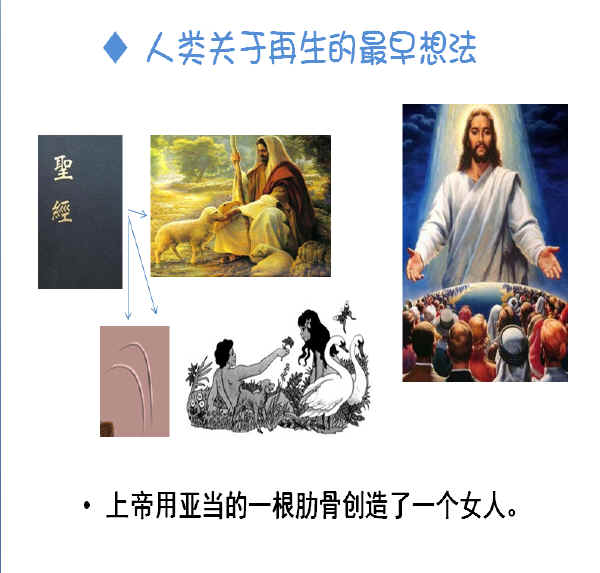 人类关于再生的最早想法