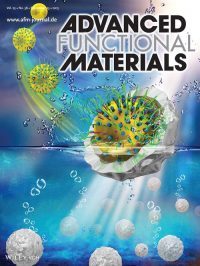 Advanced-Functional-Materials-200x266.jpg
