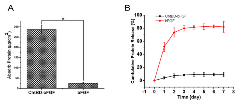 ChiBD-bFGF-4.jpg.png